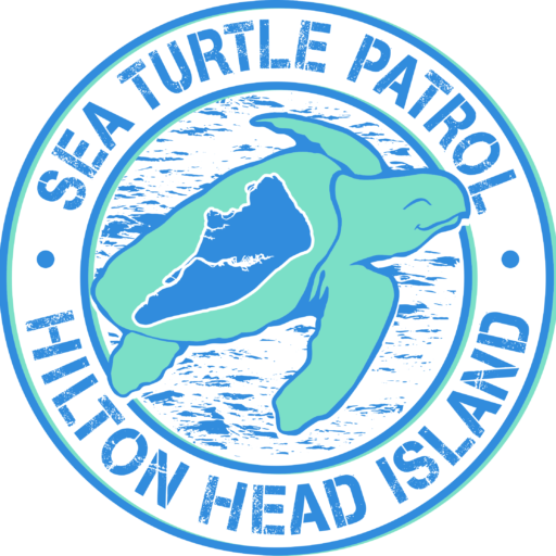 Put the Beach to Bed with Sea Turtle Patrol HHI Event