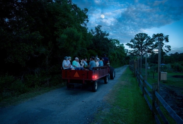 Night at the Preserve: Full Moon Wagon Ride Event