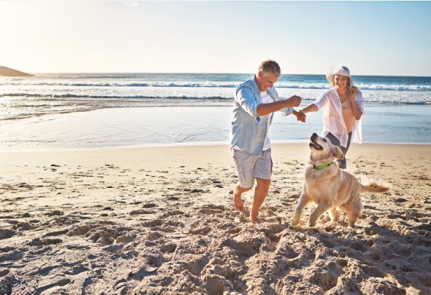 Thing To Do Pet-Friendly Activities