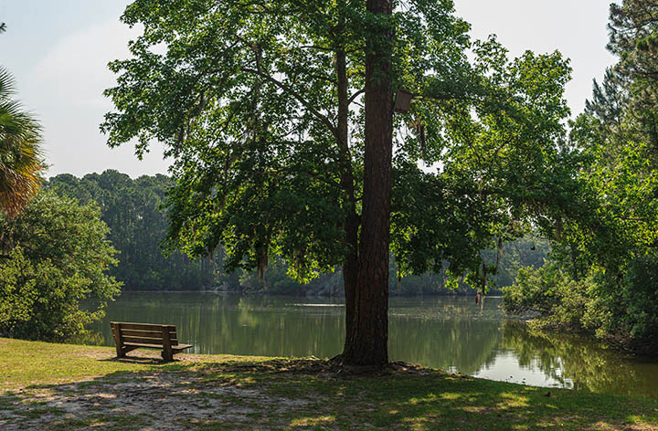 Thing To Do Hilton Head Parks